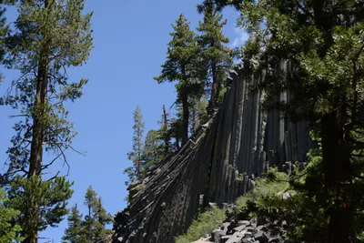 DSC_3681 (Large).JPG